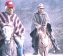 Veneuelan Country People, The Andes, Merida